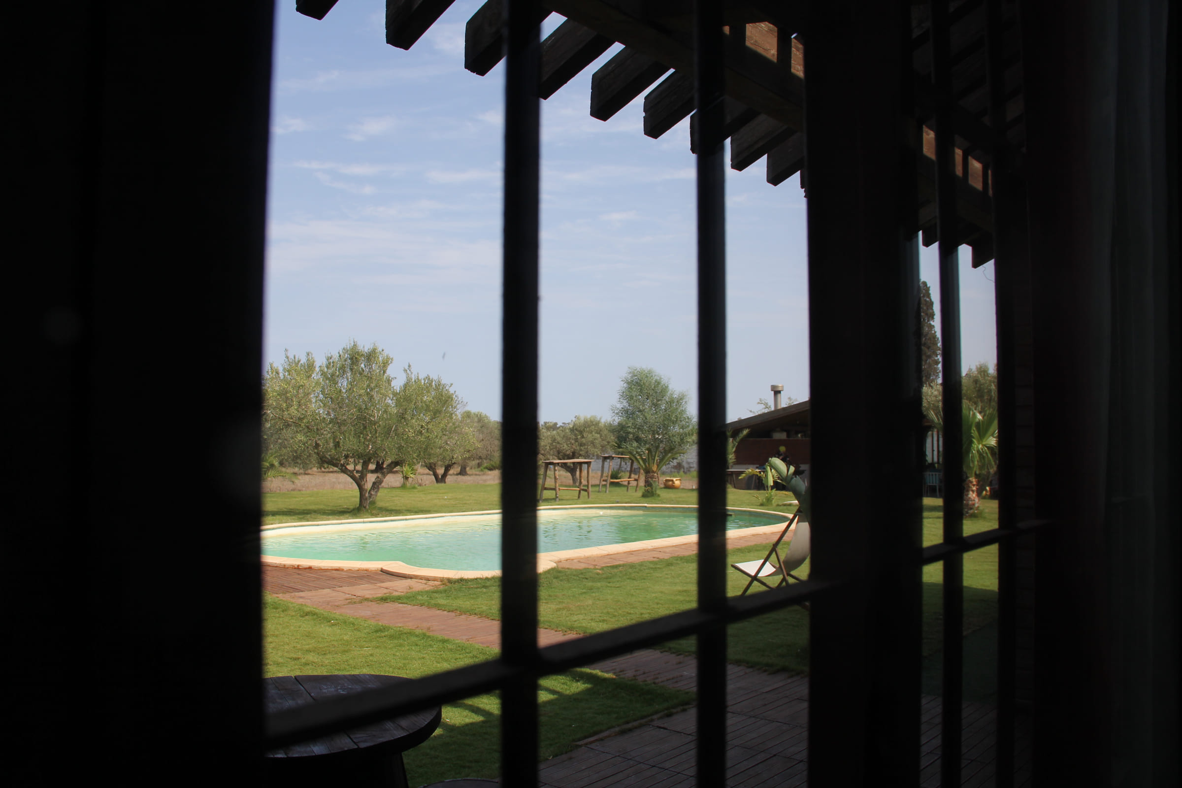 Vue depuis la terrasse couverte sur l’oliveraie et la piscine du domaine